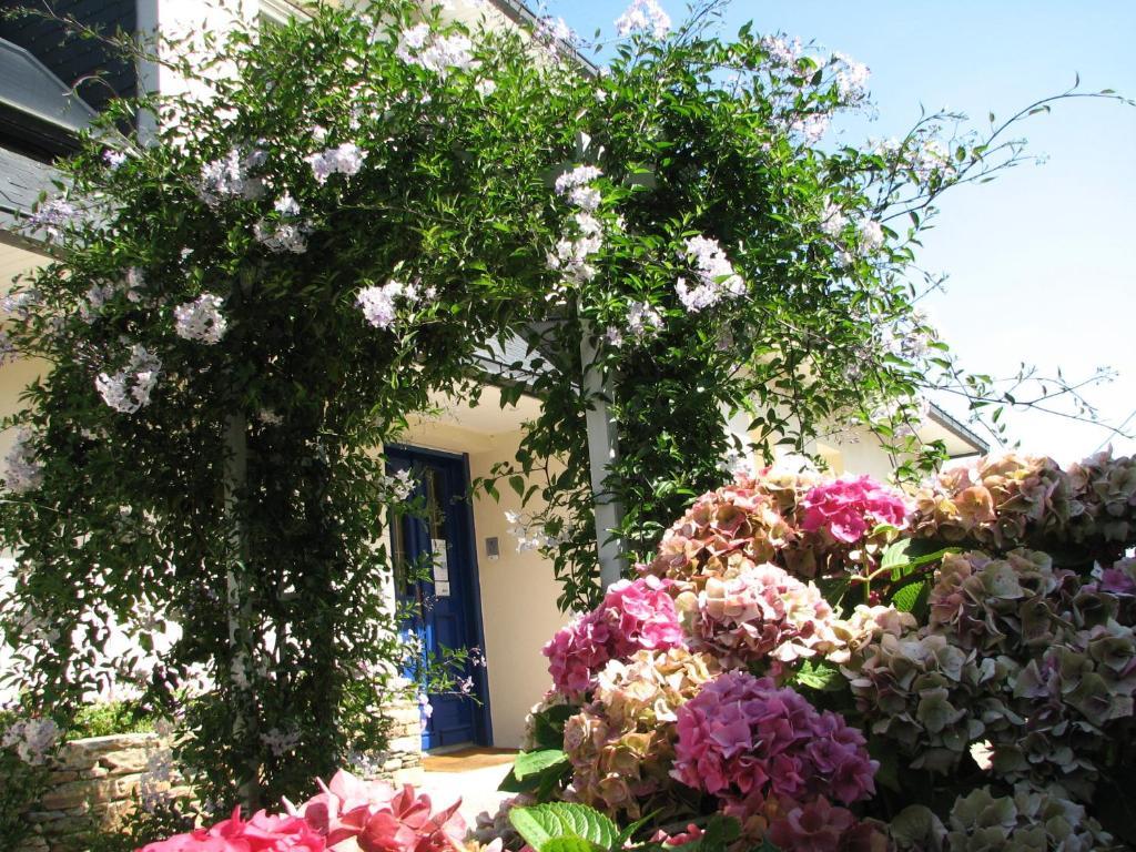 L'Escale Evel Er Ger Bed & Breakfast Locquirec Eksteriør bilde